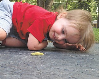 Louis Gordon was 2 when this picture of him getting up close with a dagger moth caterpillar was taken last year. He lives in Canfield with his parents, Matthew and Joni Gordon, and his sister, Madelyn.