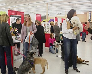 The Northeast Ohio Pet Expo Show & Sale at the Eastwood Expo Center in Niles.