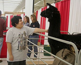 The Northeast Ohio Pet Expo Show & Sale at the Eastwood Expo Center in Niles.
