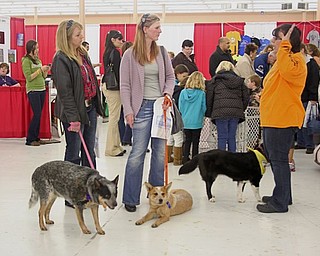 The Northeast Ohio Pet Expo Show & Sale at the Eastwood Expo Center in Niles.