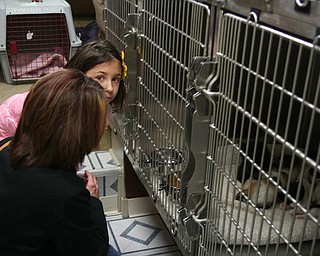 The Northeast Ohio Pet Expo Show & Sale at the Eastwood Expo Center in Niles.