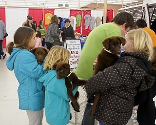 The Northeast Ohio Pet Expo Show & Sale at the Eastwood Expo Center in Niles.