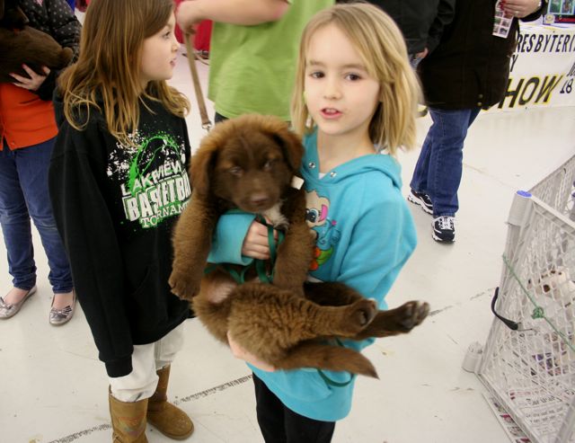 The Northeast Ohio Pet Expo Show & Sale at the Eastwood Expo Center in Niles.