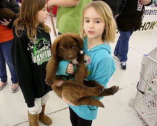The Northeast Ohio Pet Expo Show & Sale at the Eastwood Expo Center in Niles.