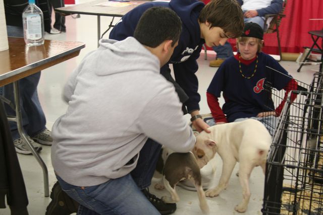 The Northeast Ohio Pet Expo Show & Sale at the Eastwood Expo Center in Niles.