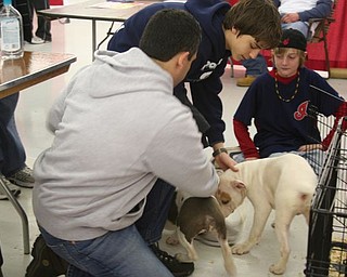 The Northeast Ohio Pet Expo Show & Sale at the Eastwood Expo Center in Niles.