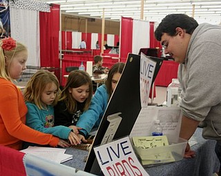 The Northeast Ohio Pet Expo Show & Sale at the Eastwood Expo Center in Niles.