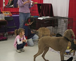 The Northeast Ohio Pet Expo Show & Sale at the Eastwood Expo Center in Niles.