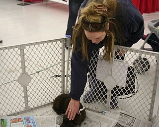 The Northeast Ohio Pet Expo Show & Sale at the Eastwood Expo Center in Niles.