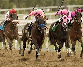 In a photo provided by Benoit Photo, Midnight Interlude and jockey Victor Espinoza, second from left, overpower Comma to the Top, with Corey Nakatani, right front, to win the $1 million Santa Anita Derby horse race Saturday, April 9, 2011, at Santa Anita in Arcadia, Calif.