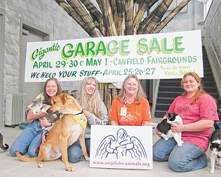 Some of the “angels” of Angels For Animals are all smiles as they prepare for the organization’s annual garage sale on April 29, April 30 and May 1 at the Canfield Fairgrounds, 7265 Columbiana-Canfield Road, Canfield, From left are Diane Less, co-founder; Lisa Kishok, volunteer manager; Mary Ann Karas, office manager; Kate McDermott, general manager.
