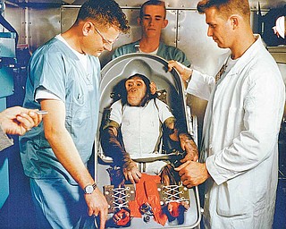 A three-year-old chimpanzee, named Ham, in the biopack couch for the MR-2 suborbital test flight. On January 31, 1961, a Mercury-Redstone launch from Cape Canaveral carried the chimpanzee "Ham" over 640 kilometers down range in an arching trajectory that reached a peak of 254 kilometers above the Earth. The mission was successful and Ham performed his lever-pulling task well in response to the flashing light. NASA used chimpanzees and other primates to test the Mercury Capsule before launching the first American astronaut Alan Shepard in May 1961. The successful flight and recovery confirmed the soundness of the Mercury-Redstone systems. 