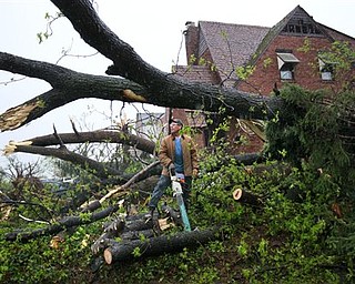 Rick Gamma, whose family owns Gamma Tree Service, surveys his progress in cutting up a tree that blew down on Royal Avenue during Friday night's tornado, on Saturday, April 23, 2011, in Ferguson, Mo.