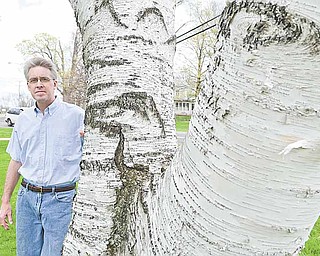 Mark Eddy, chairman of the Parks, Recreation and Cemetery Board for the city of Canfield, stands next to a birch tree on the city’s green. Canfield has been a certified Tree City USA for the past 30 years.