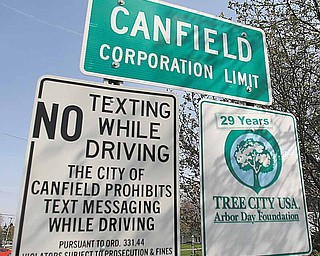 The leaves of neighboring trees cast their shadows on this recently outdated sign boasting of Canfield’s status as a Tree City USA. 