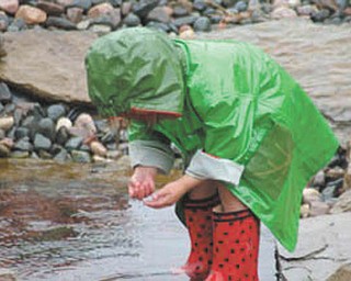 Ella Nagy of North Lima was 3 at the time this picture was taken of her searching for tadpoles in the rain.