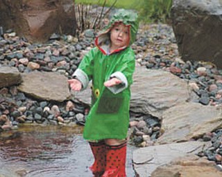 Ella Nagy of North Lima was 3 at the time this picture was taken of her searching for tadpoles in the rain.