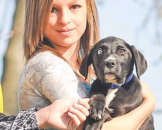 Shannon Troy embraces "Duke" her family's rescued 3-month-old puppy. Shannon and her brother Jordan and mom Shari have fostered many canines over the years and will now make "Duke" an addition to the family. The Troy's were at the Mahoning County Dog Pound on Saturday where they were volunteering to walk many of the dogs that were currently at the pound.