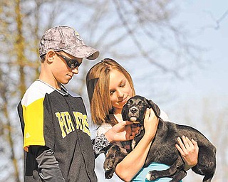 Jordan Troy and his sister Shannon show their affection for their rescued 3-month-old puppy "Duke". With help from their mom and the rescue group 'For the Dogs', Duke was able to receive the care he needed. The Troy's have now welcomed Duke into their family. The Troy's were at the Mahoning County Dog Pound on Saturday where they were volunteering to walk many of the dogs that were currently at the pound.