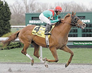 Jockey Alan Garcia guides Animal Kingdom to a two-length victory in the $500,000 Spiral Stakes horse race at Turfway Park race course in Florence, Ky., Saturday, March 26, 2011.