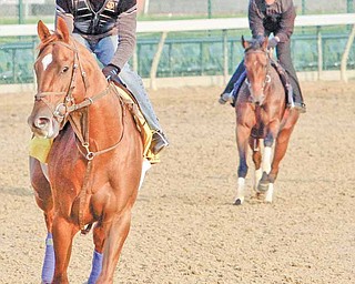 Exercise rider James Slater takes Kentucky Derby hopeful Animal Kingdom for a workout at Churchill Downs Wednesday, May 4, 2011, in Louisville, Ky.