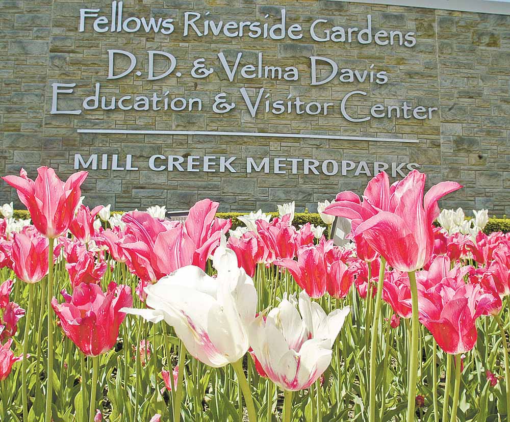 Fellows Riverside Gardens has been a popular spot for generations in the Mahoning Valley.