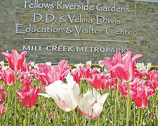 Fellows Riverside Gardens has been a popular spot for generations in the Mahoning Valley.