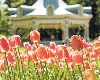 Fellows Riverside Gardens has been a popular spot for generations in the Mahoning Valley.