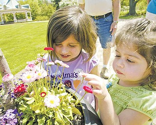 Myleigh Broll, 3, left, and her sister Brooklyn, 2, check out the flowers at Fellows Riverside Gardens.