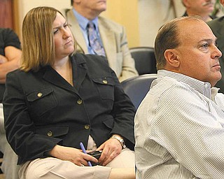 In this March 25, 2010, Vindicator File Photo, Lisa Antonini speaks to the media about the purchase by the
county of Oakhill Renaissance Place.
