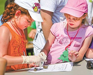 Second graders Payton Blackburn and Maggie Musser, both 8, look for bone fragments inside a sterilized owl pellet. They were among the Springfield Elementary students having a field day Tuesday learning about science.