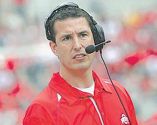 Ohio State assistant head coach Luke Fickell watches from the sideline during an NCAA college football Spring Game, Saturday, April 23, 2011, in Columbus, Ohio. (AP Photo/Terry Gilliam)