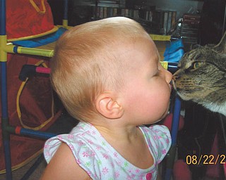 Madison Wright of Salem adopted Noah the Cat in August 2008. Or, was it the other way around?