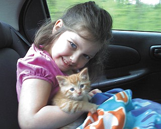 5-year-old Mikayla Upright of Youngstown shared this picture of her kitty, Snickers, who is 7 weeks old and was adopted just a little over 3 weeks ago.