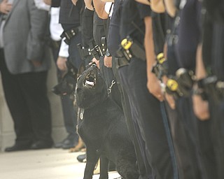 ROBERT K. YOSAY | THE VINDICATOR..Area officers and K-9's lined up and saluted as Chico's  cremains were brought to the memorial service - Chico - New Castle Police K-9 Officer was honored today with a memorial service and  a memorial drive thru the city. Chico died Saturday after being left in a police car for almost three hours. The handler -officer- who has not been named is suspended without pay...-30-