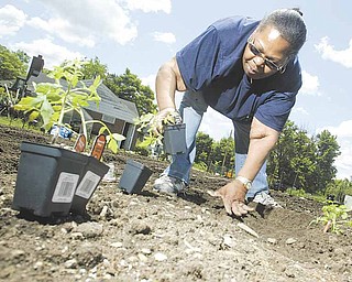 Jamie Hayes prepares to plant her garden at Jubilee Community Garden on Lafayette Street in the Brier Hill section of Youngstown. Hayes, above, said Monday she learned about gardening from her great-grandmother
while growing up in Dayton. Youngstown has several community garden sites, and all 33 plots at Jubilee are taken.