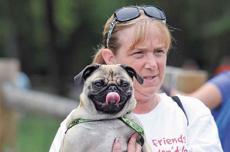 Mary Jenter of Warren and her pug, Sofie, watch as dogs splash around in the Mosquito Lake Dog Park beach Sunday afternoon.