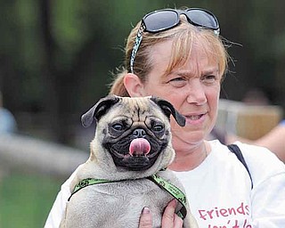 Mary Jenter of Warren and her pug, Sofie, watch as dogs splash around in the Mosquito Lake Dog Park beach Sunday afternoon.