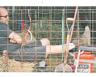 Darryl James, of Vienna, rests before his 14-year-old son, Joshua, shows their four goats at the Trumbull County Fair in Cortland, which opened Wednesday. The James family also shows turkeys.