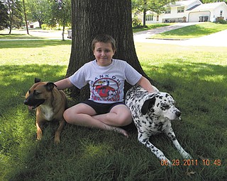 Jackleen Buzzelli and family sent this picture. The brown dog is Zoe, who was adopted from the Mahoning County Dog Pound last year when she was about 1 year old. She has blended in nicely with their family and is best friends with their unclaimed stray Dalmatian, Noma. Jackleen's husband found Noma on I-680 in February 2000. They ran several ads, posters and notices to try and find her owners, but she was never claimed. Jonathan, her 9-year-old son, has been the true best friend to both dogs. Noma stays within an arm's length of him at all times when he is home, and waits patiently when he is at school. Zoe is always taking her toys to Jonathan to start a game tug-of-war or fetch.