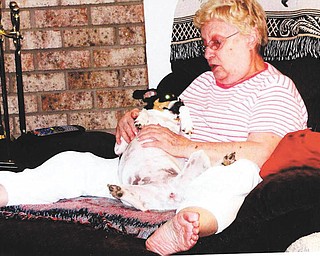 Rochelle Blanco of Youngstown adopted Mollee, 2 years old, in April 2010 from For The Dogs Shelter.