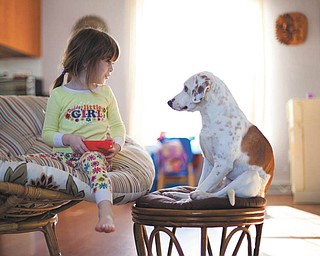 Michelle Galazia sent this picture of Chase and Liv. Chase is around 3 and was a pup when they found him..