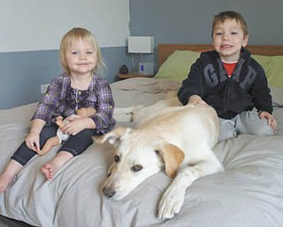 Lemon, 1 1/2, the "granddog" of Carol and David McKay of Boardman, was 4 months when adopted by Kourtney and Nate Ross of Chicago in February 2010. Kenley Smith, 2 1/2 (left), and Ian Smith, 4 1/2 (right), are the children of Kimberly and Greg Smith of Chicago and the McKays' grandchildren.