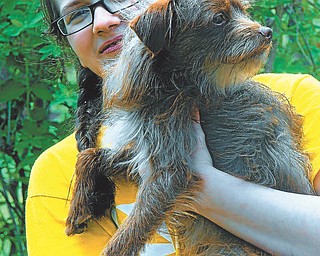Mary Ann O'Neil sent this picture of Anna Lefoer, who attends Canfield Schools, and her dog, Hershey.