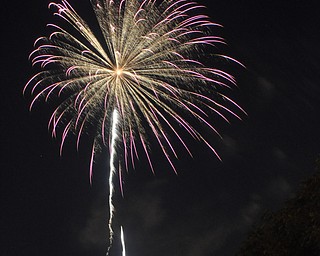 Image of a firework from the Independence Day fireworks in Youngstown. Display by the City of Youngstown and Colonial Fireworks. Image by Katie Libecco/The Vindicator.