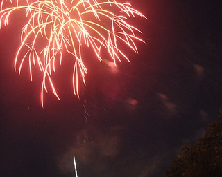 Image of a firework from the Independence Day fireworks in Youngstown. Display by the City of Youngstown and Colonial Fireworks. Image by Katie Libecco/The Vindicator.