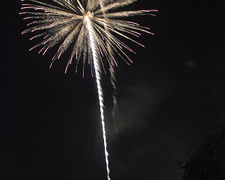Image of a firework from the Independence Day fireworks in Youngstown. Display by the City of Youngstown and Colonial Fireworks. Image by Katie Libecco/The Vindicator.