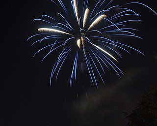 Image of a firework from the Independence Day fireworks in Youngstown. Display by the City of Youngstown and Colonial Fireworks. Image by Katie Libecco/The Vindicator.