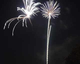 Image of a firework from the Independence Day fireworks in Youngstown. Display by the City of Youngstown and Colonial Fireworks. Image by Katie Libecco/The Vindicator.