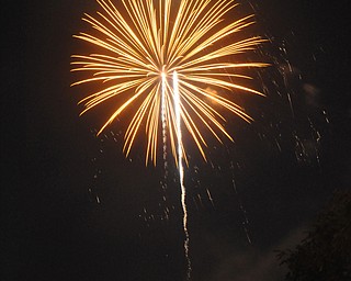 Image of a firework from the Independence Day fireworks in Youngstown. Display by the City of Youngstown and Colonial Fireworks. Image by Katie Libecco/The Vindicator.